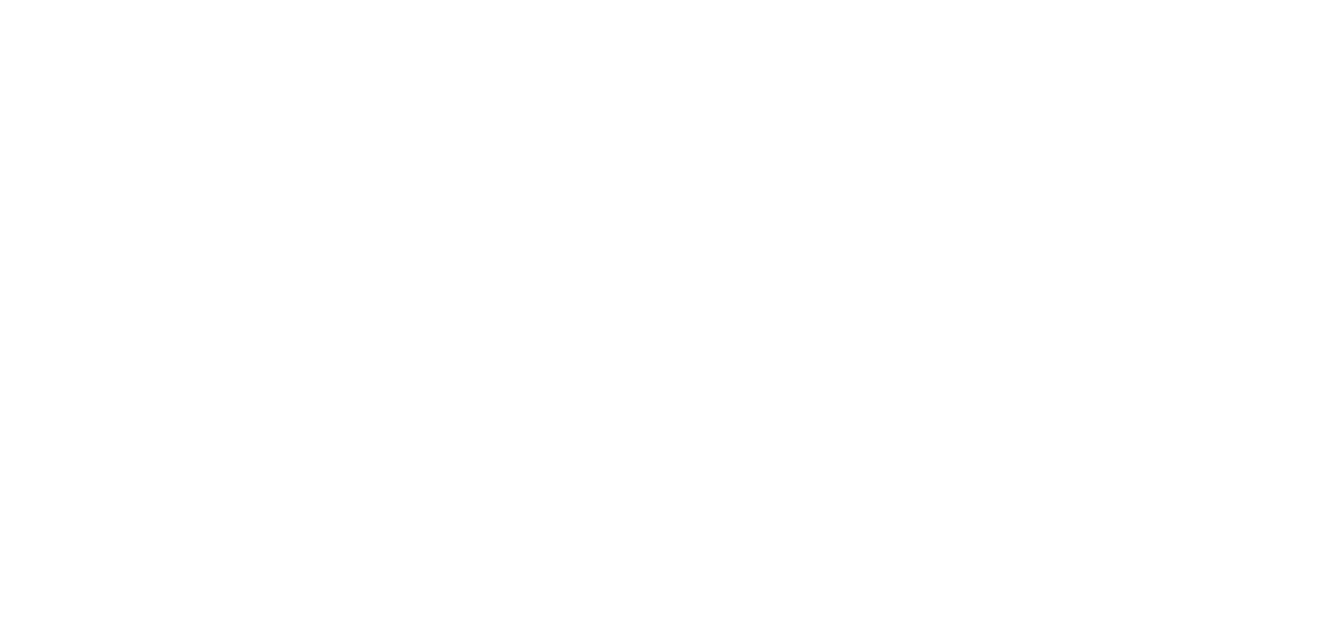 Z.ai (GLM)